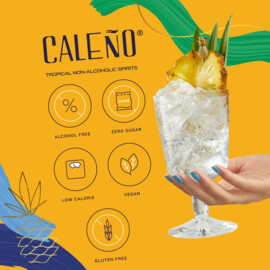 Caleno Light and Zesty, non-alcoholic Tropical Gin, 0,5L